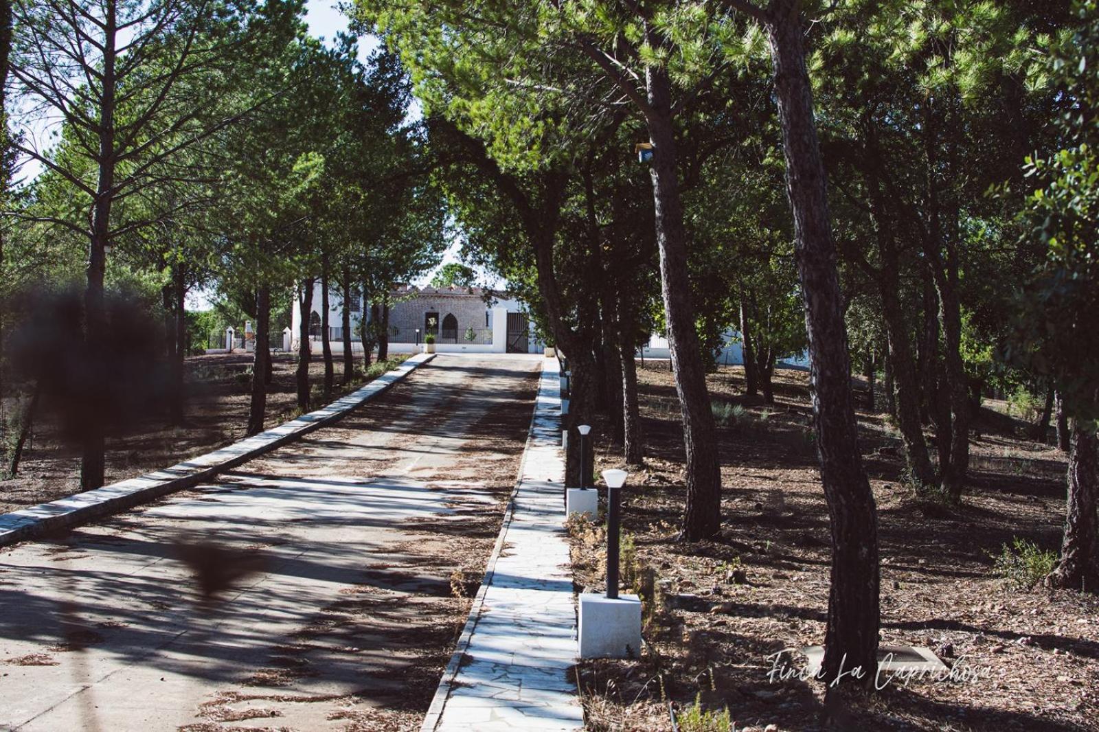 Finca La Caprichosa Cortelazor Bagian luar foto